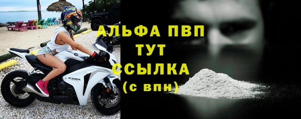 стаф Богданович