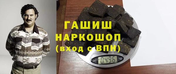 гидра Бородино