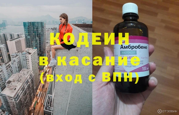 гидра Бородино