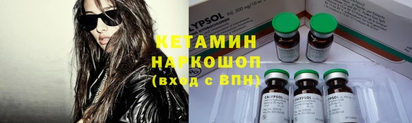 стаф Богданович