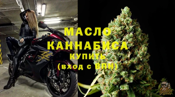 гидра Бородино