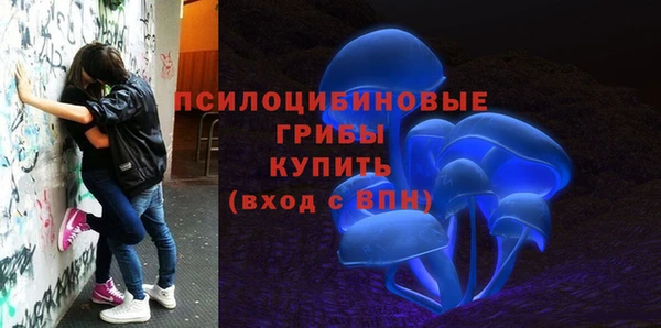 прущая мука Богородск