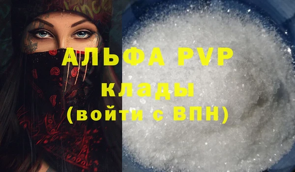 стаф Богданович