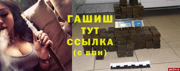 стаф Богданович