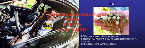 гидра Бородино
