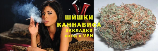 mdma Богородицк